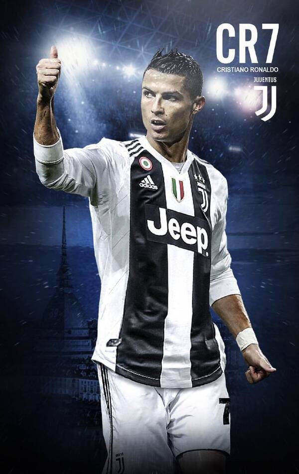 照合影